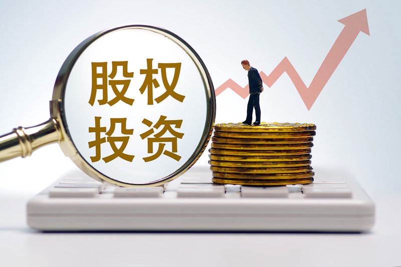 基金管理：穿越波动的智慧之光